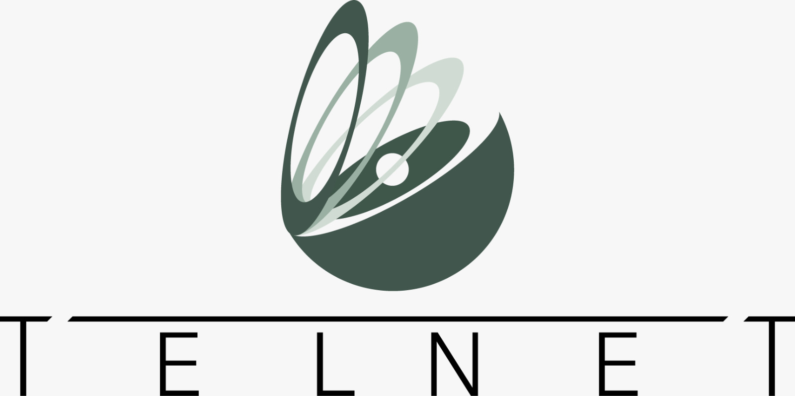 TELNET BULK SMS